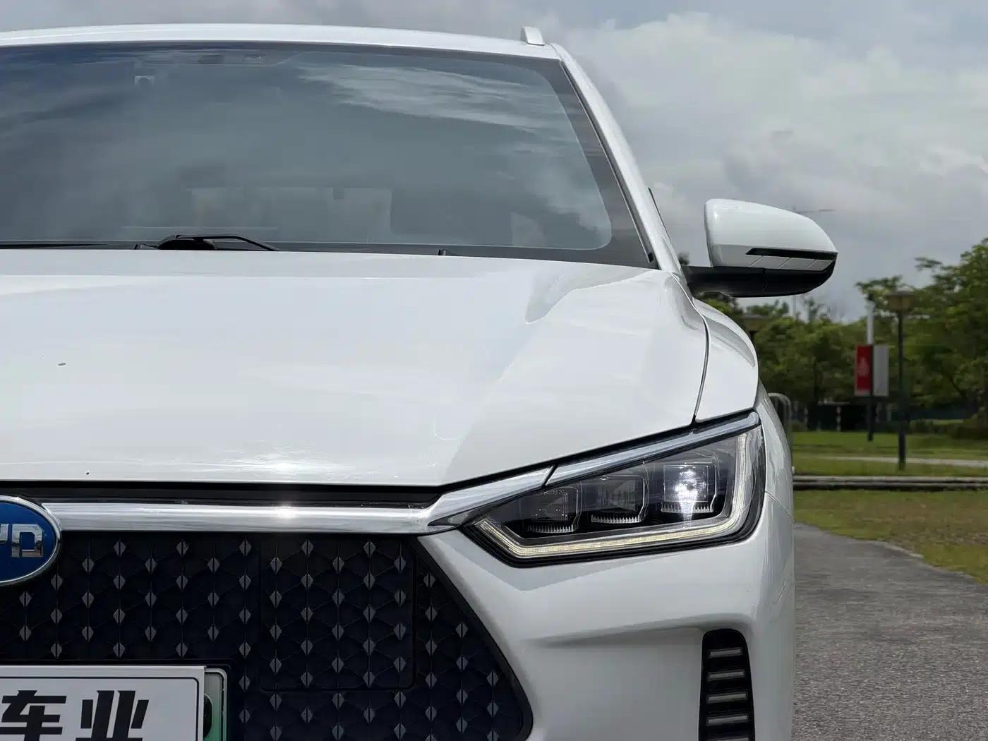 BYD e2 2021 Luxury Edition — миниатюра 4