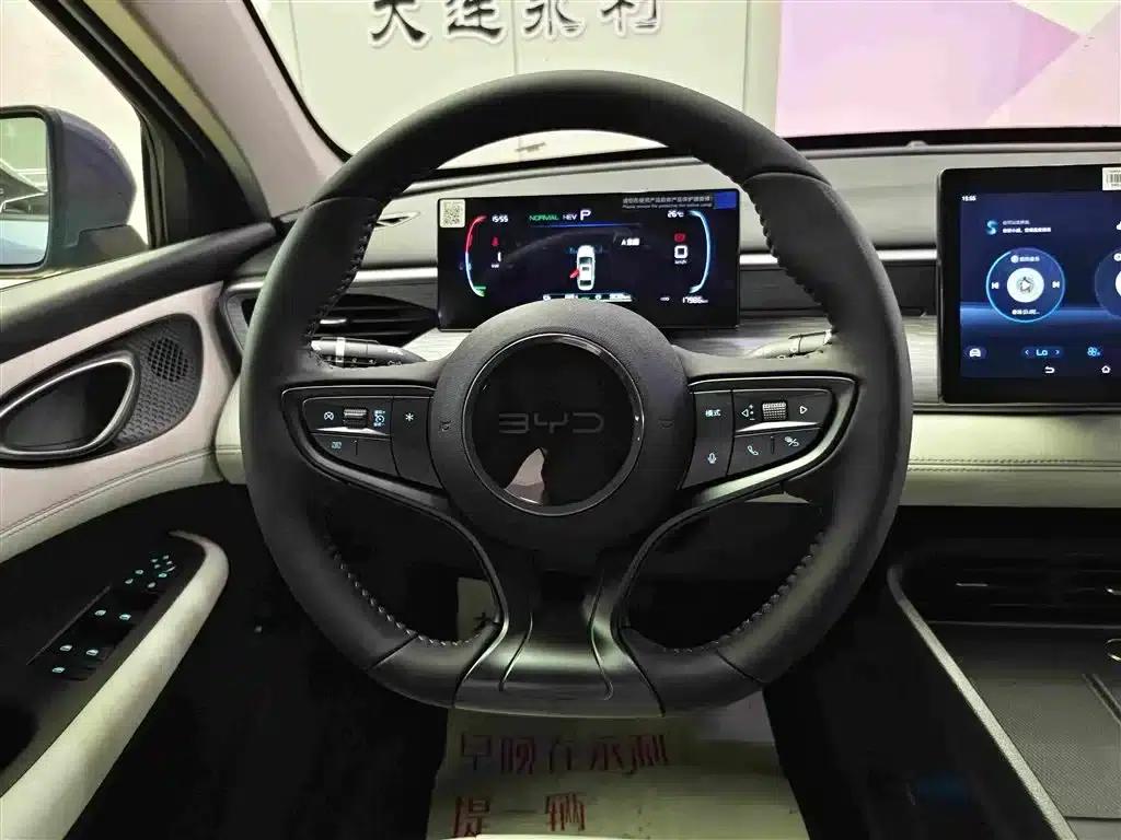 Seal 05 DM-i 2025 DM-i Intelligent Driving Edition 55KM Luxury Model — миниатюра 14