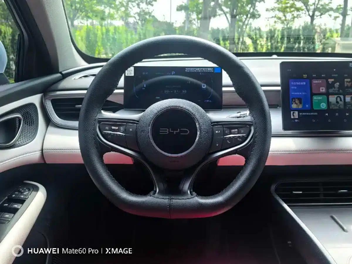 Seal 05 DM-i 2025 DM-i Intelligent Driving Edition 55KM Luxury Model — миниатюра 13