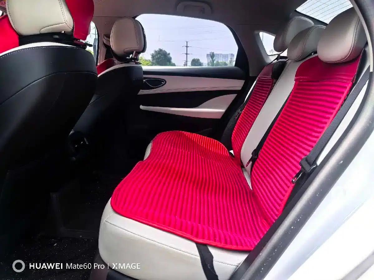 Seal 05 DM-i 2025 DM-i Intelligent Driving Edition 55KM Luxury Model — миниатюра 22