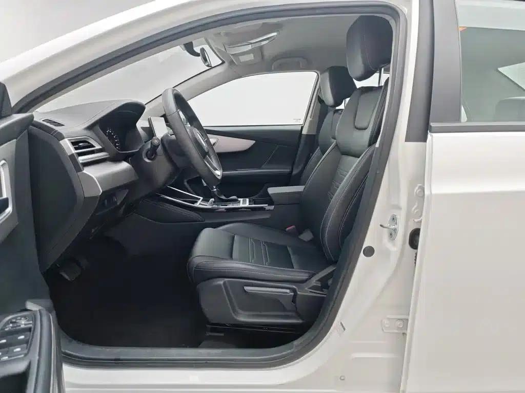 Qin 2019 1.5L Automatic Deluxe Edition — миниатюра 10