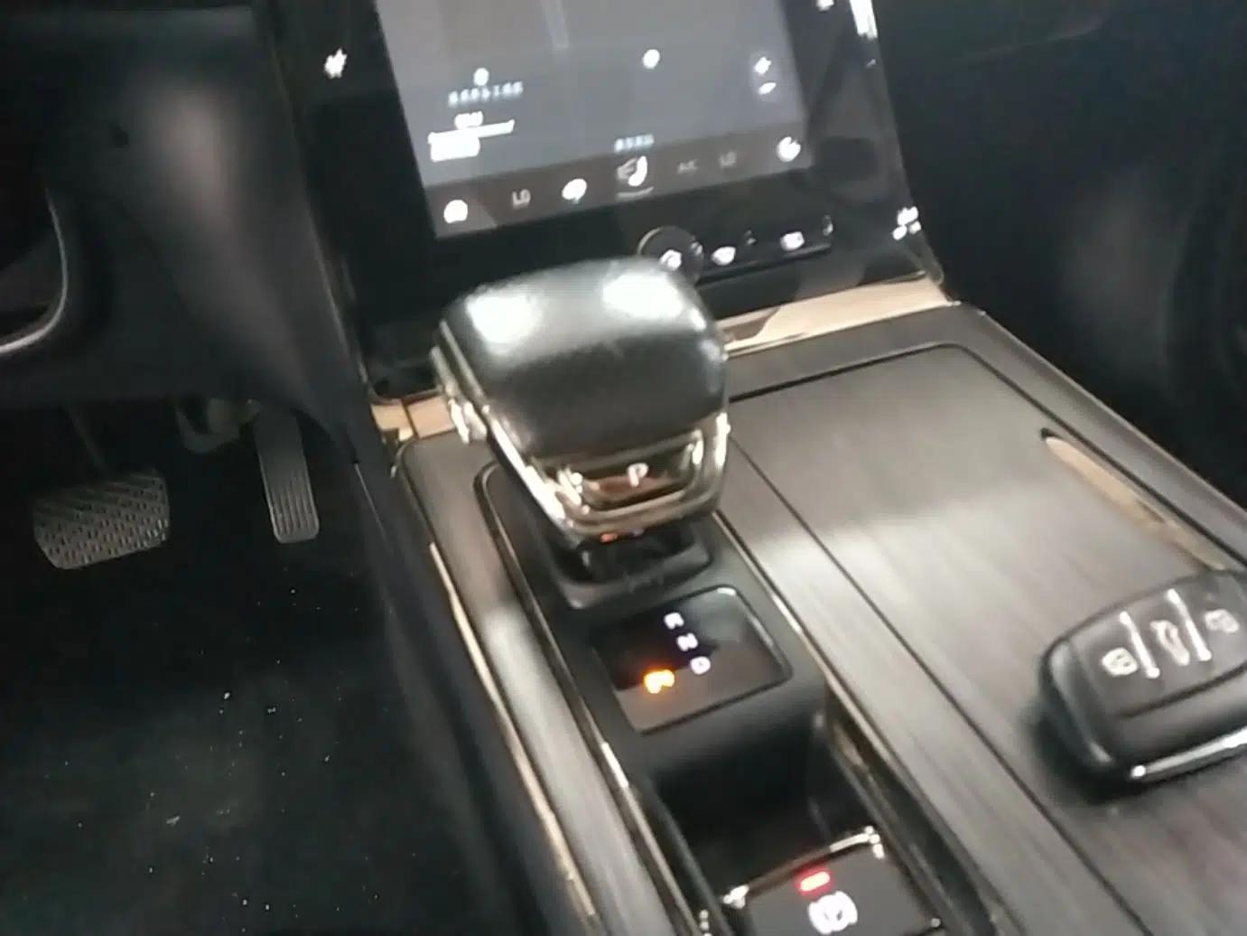 Roewe RX5 New Energy 2021 ePLUS National Trend Ronglin Luxury Edition — миниатюра 16