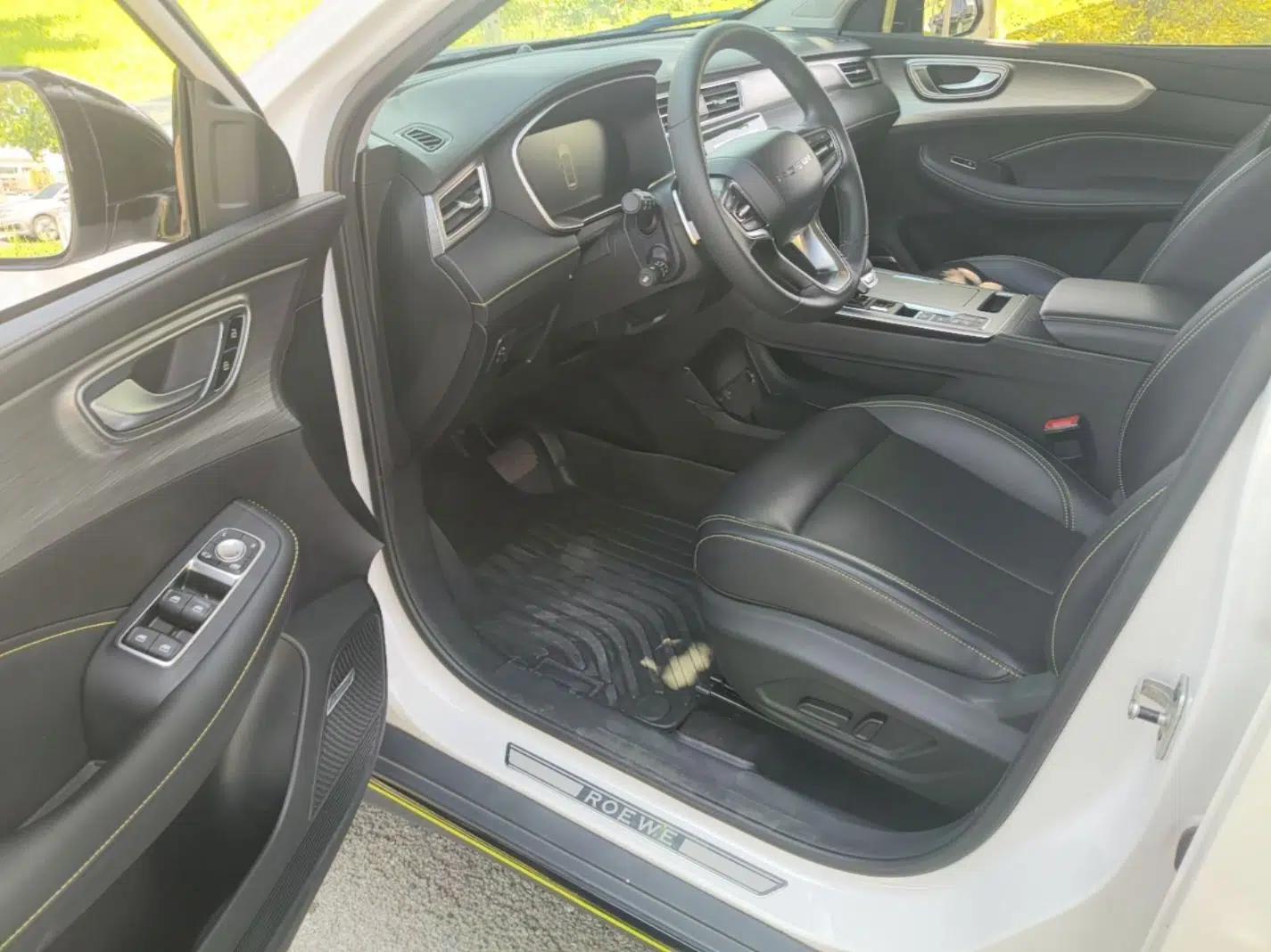 Roewe RX5 New Energy 2020 ePLUS National Trend Ronglin Luxury Edition — миниатюра 18