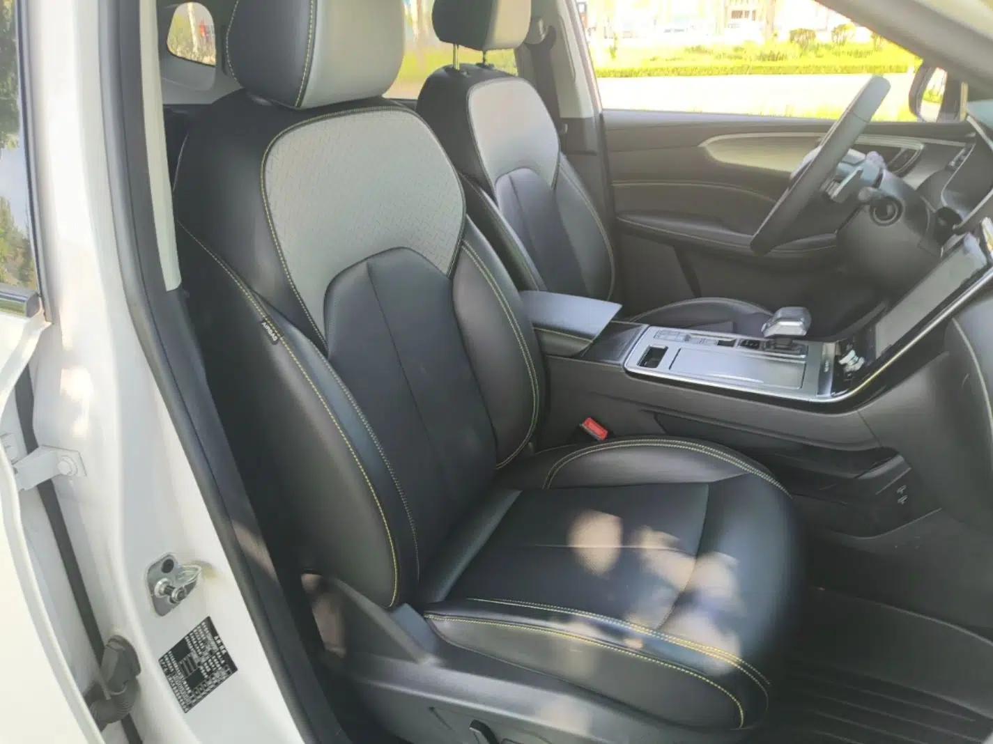 Roewe RX5 New Energy 2020 ePLUS National Trend Ronglin Luxury Edition — миниатюра 19