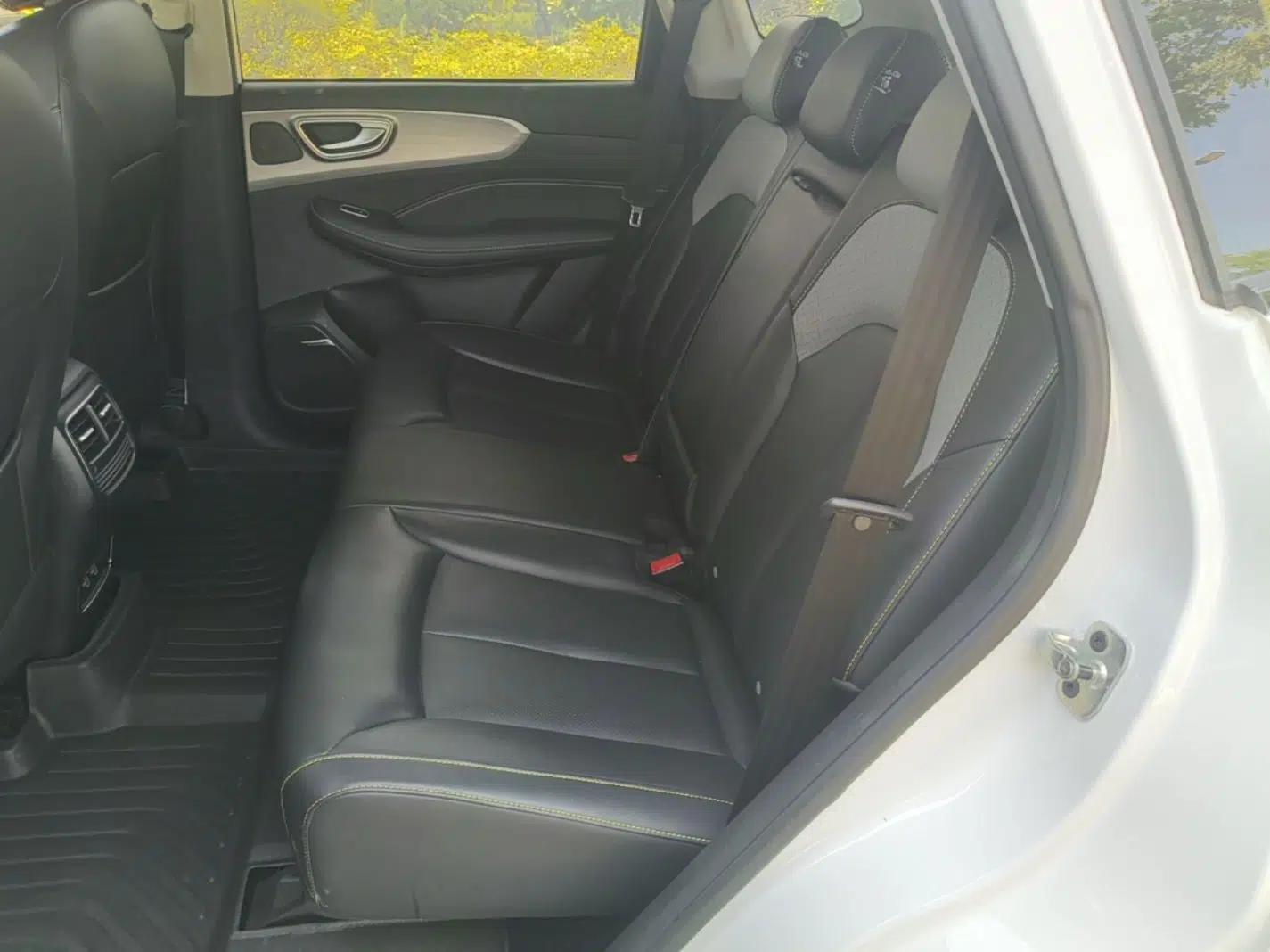 Roewe RX5 New Energy 2020 ePLUS National Trend Ronglin Luxury Edition — миниатюра 20