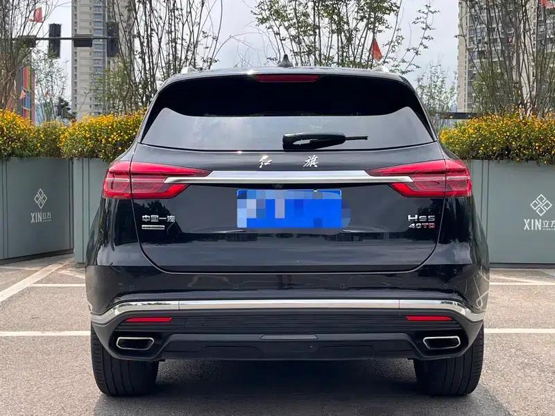 Hongqi HS5 2022 Facelift 2.0T Intelligent Flagship Enjoy 4WD Edition — миниатюра 6