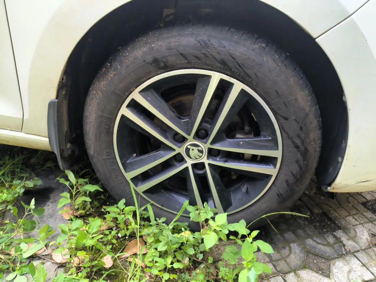 Skoda Rapid Spaceback 2014 1.6L Automatic Enjoyment Edition — миниатюра 8