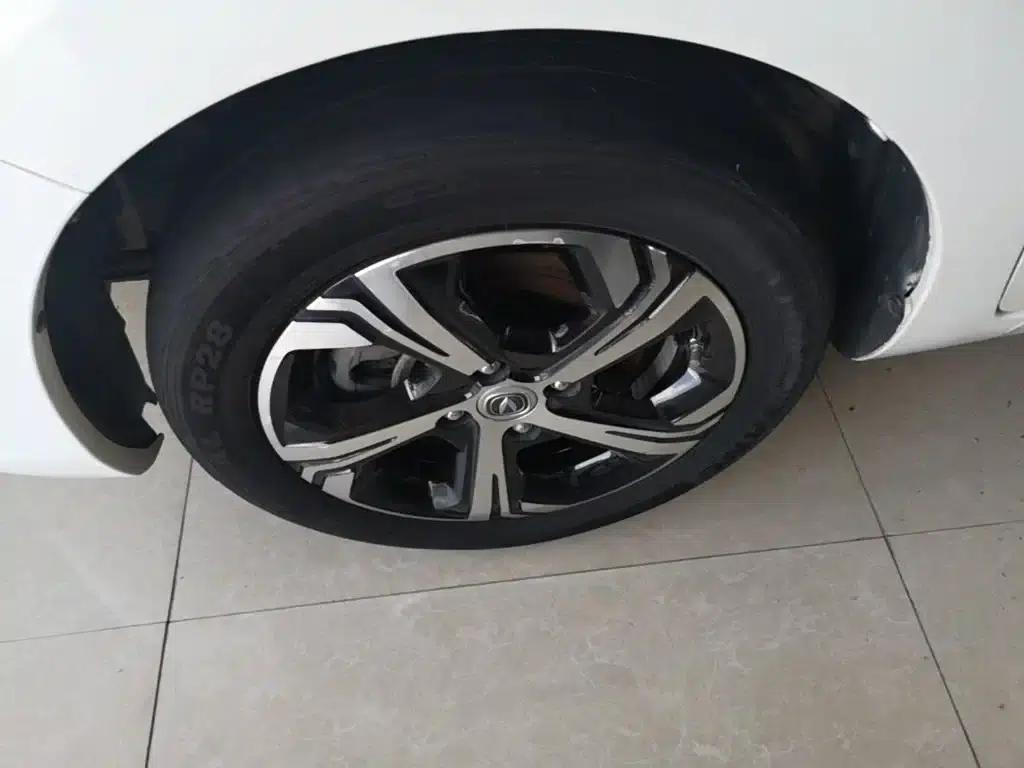 Changan Benben E-Star 2020 Heartbeat Edition Ternary Lithium Lithium — миниатюра 23
