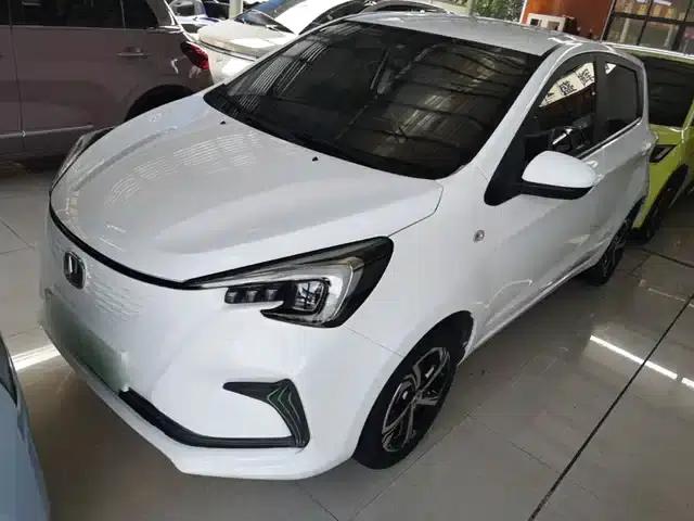 Changan Benben E-Star 2020 Heartbeat Edition Ternary Lithium Lithium