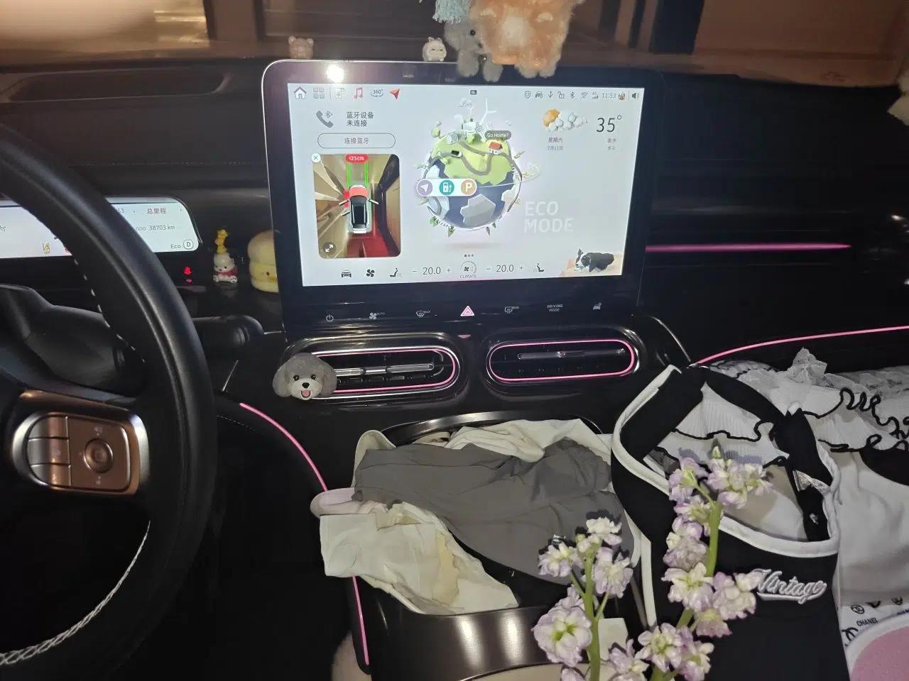 smart #1 2022 Pulse Heartbeat Edition — миниатюра 13