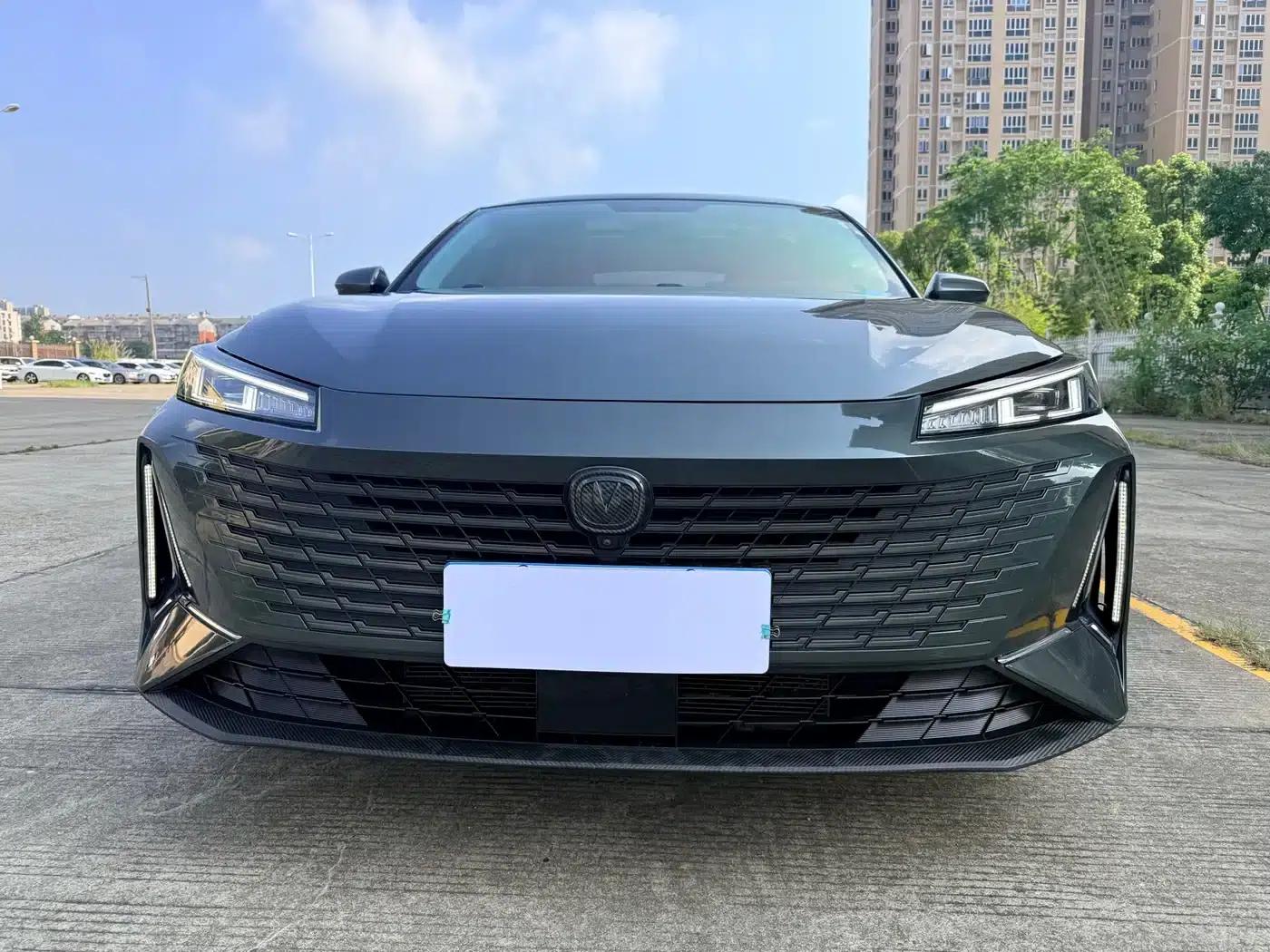 Yida 2023 Blue Whale NE 1.5T GDI DCT Flagship Edition — миниатюра 2