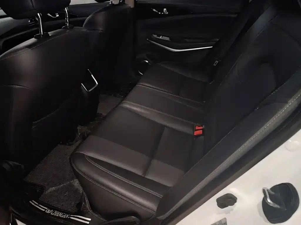 Ruicheng CC 2021 Blue Whale Edition 1.5T DCT Elite — миниатюра 17