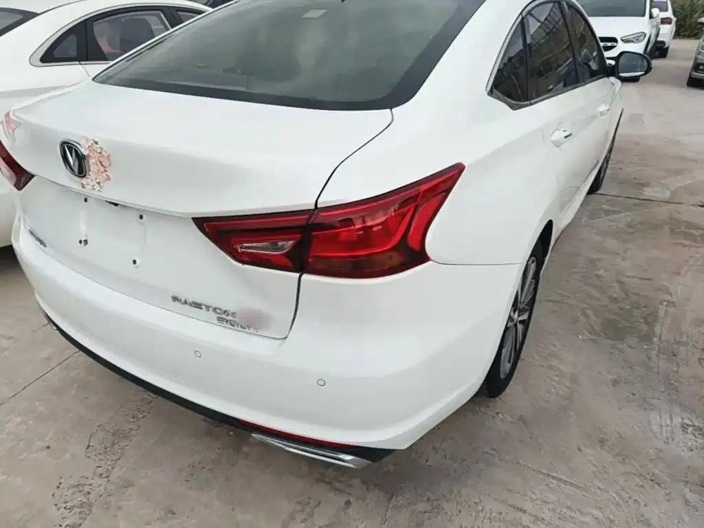 Ruicheng CC 2021 Blue Whale Edition 1.5T DCT Luxury — миниатюра 8