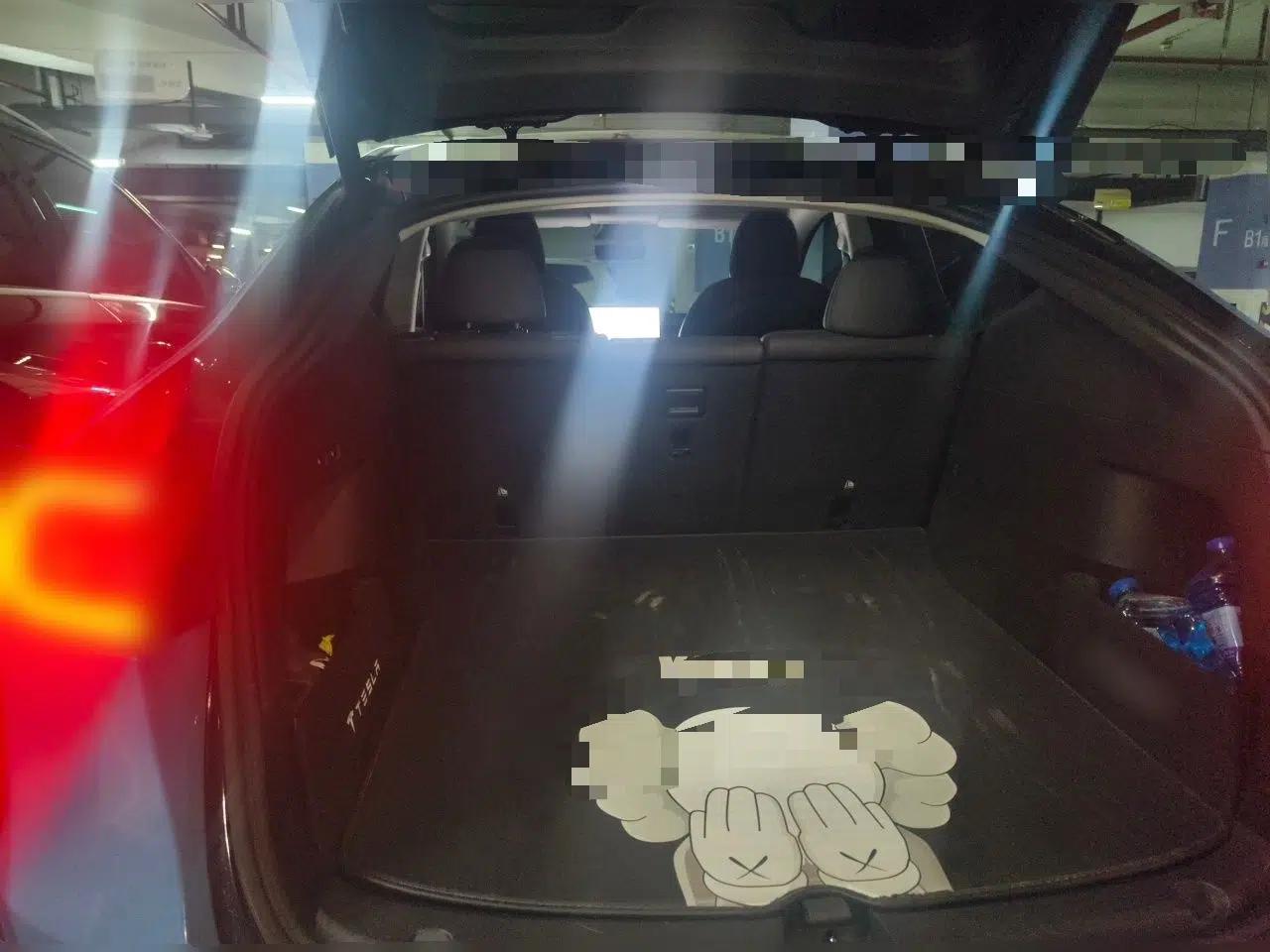 Tesla Model Y 2021 Standard Range Rear-Wheel Drive Version — миниатюра 19