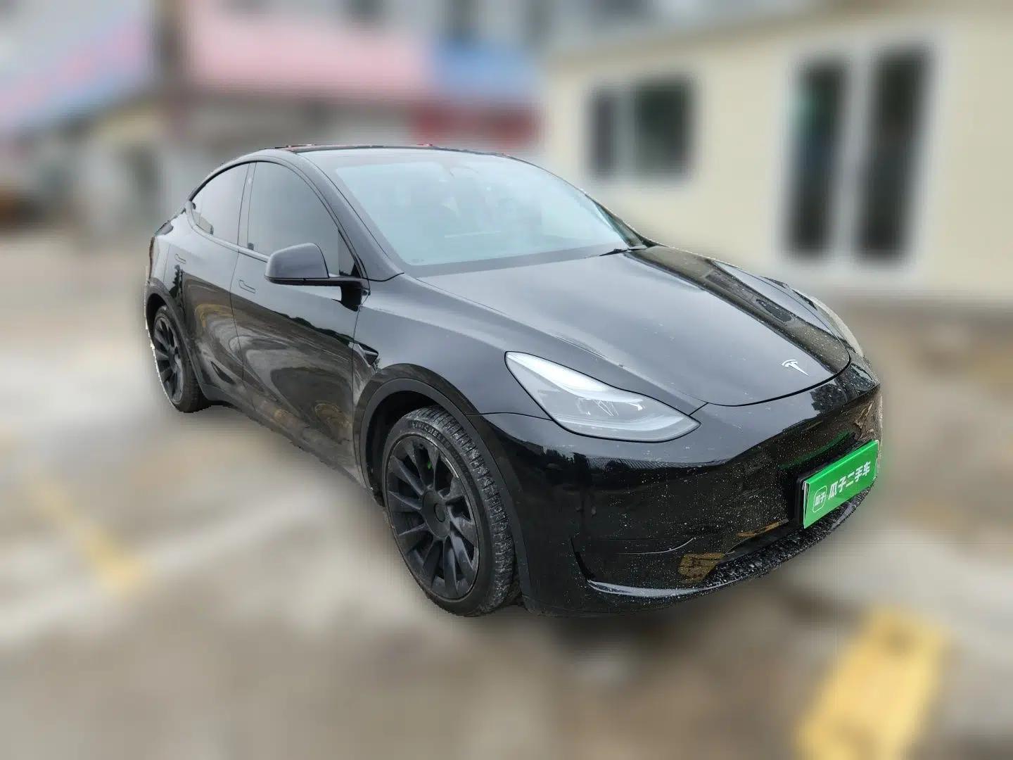 Tesla Model Y 2022 Revised Version Rear-Wheel Drive — миниатюра 3