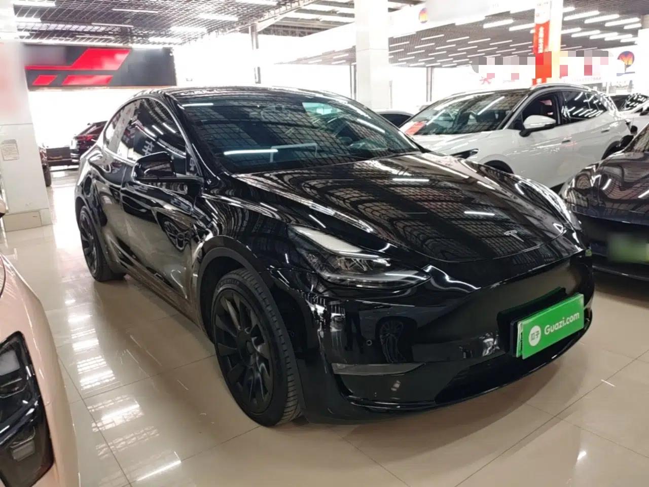 Tesla Model Y 2021 Standard Range Rear-Wheel Drive Version — миниатюра 3
