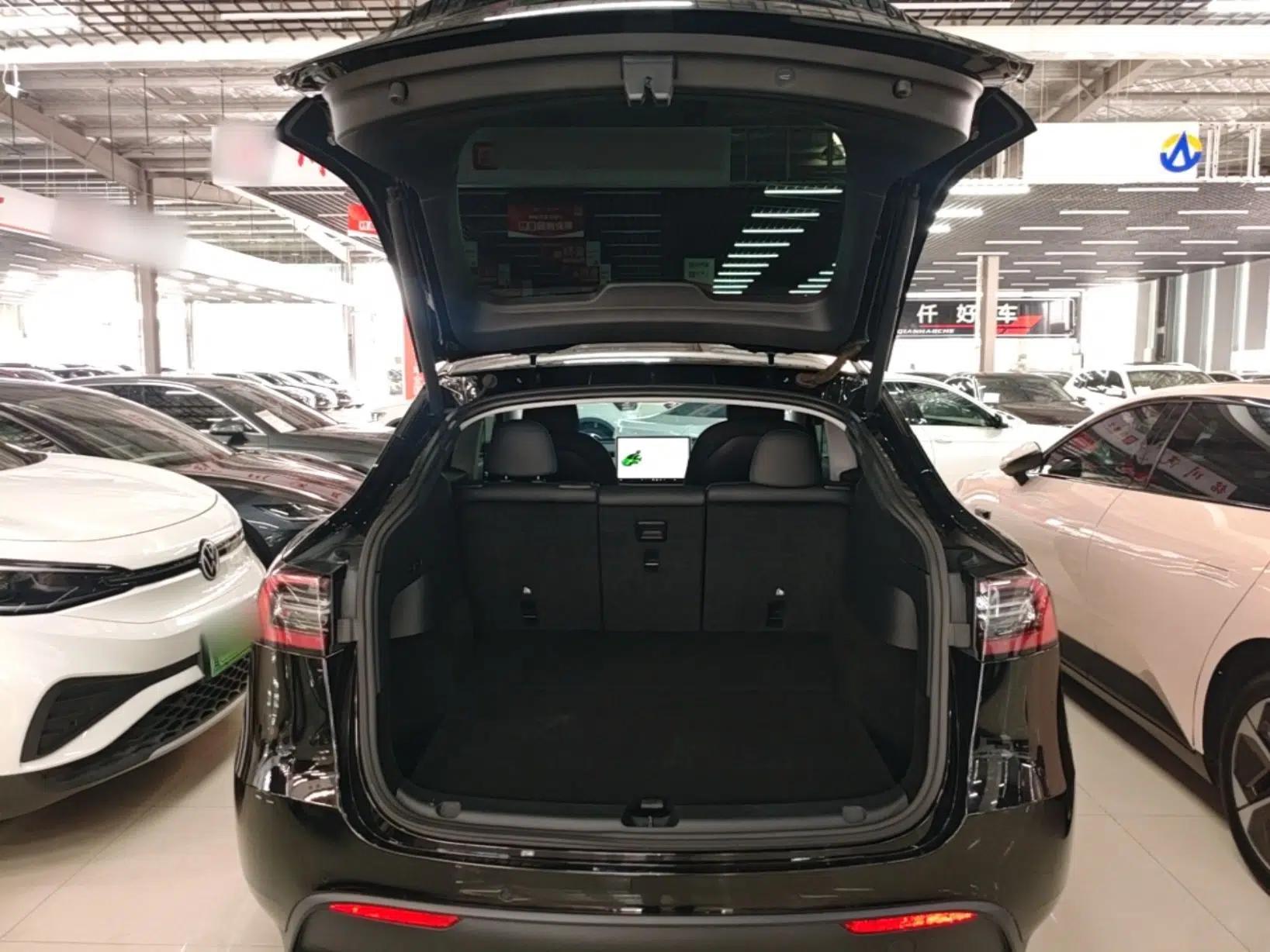 Tesla Model Y 2021 Standard Range Rear-Wheel Drive Version — миниатюра 22