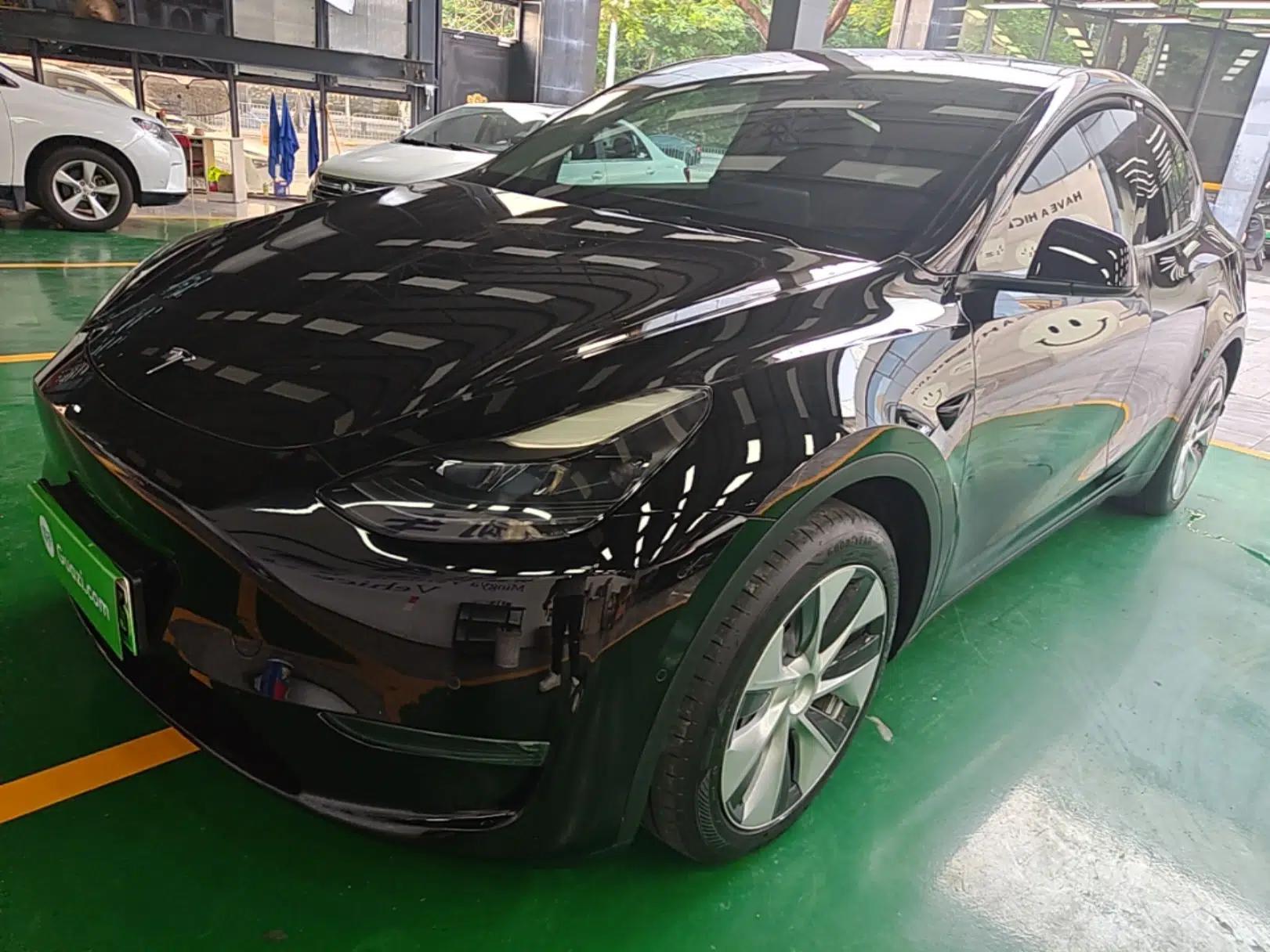 Tesla Model Y 2021 Standard Range Rear-Wheel Drive Version — миниатюра 1