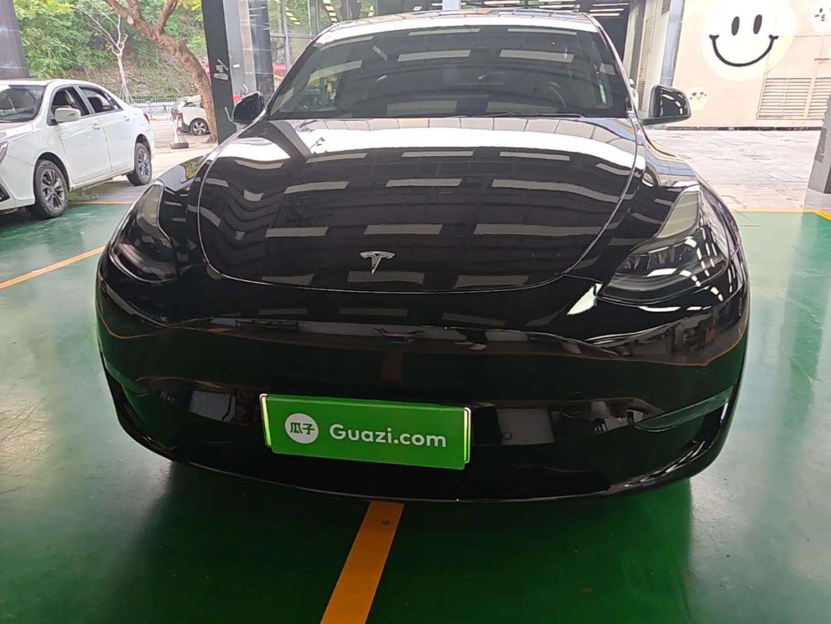 Tesla Model Y 2021 Standard Range Rear-Wheel Drive Version — миниатюра 2