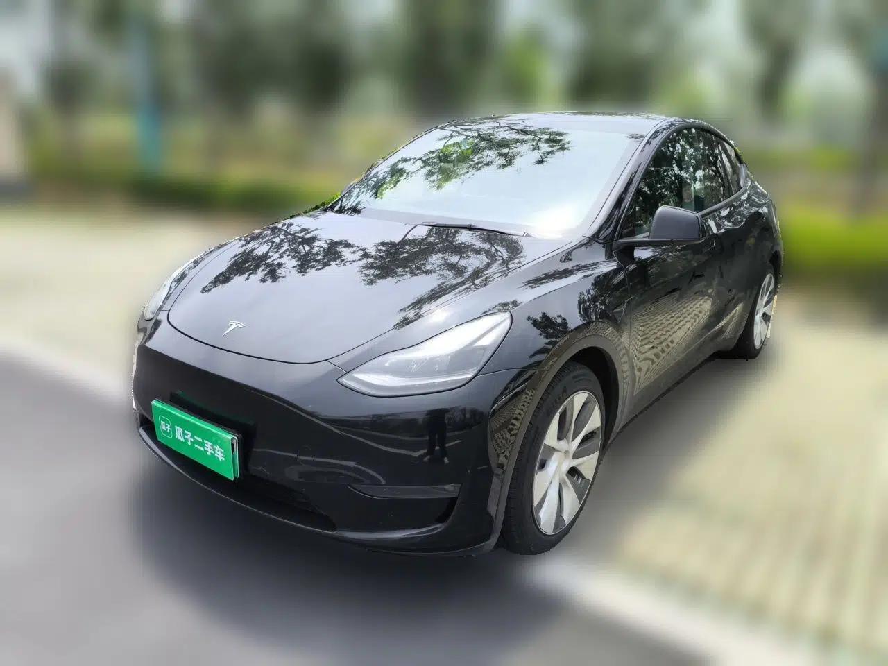 Tesla Model Y 2021 Standard Range Rear-Wheel Drive Version — миниатюра 1