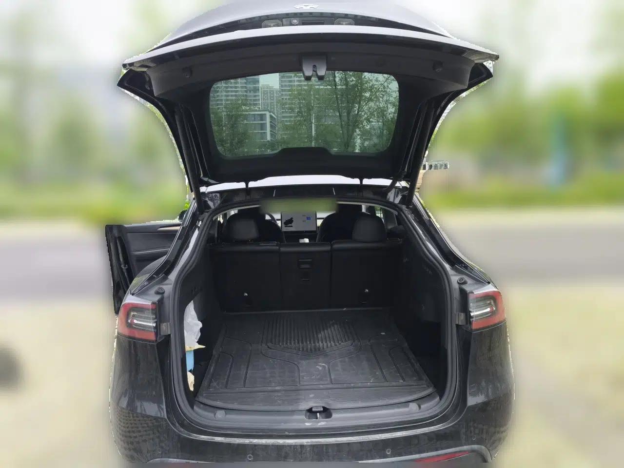 Tesla Model Y 2021 Standard Range Rear-Wheel Drive Version — миниатюра 19