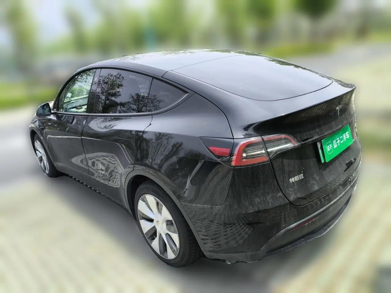 Tesla Model Y 2021 Standard Range Rear-Wheel Drive Version — миниатюра 4