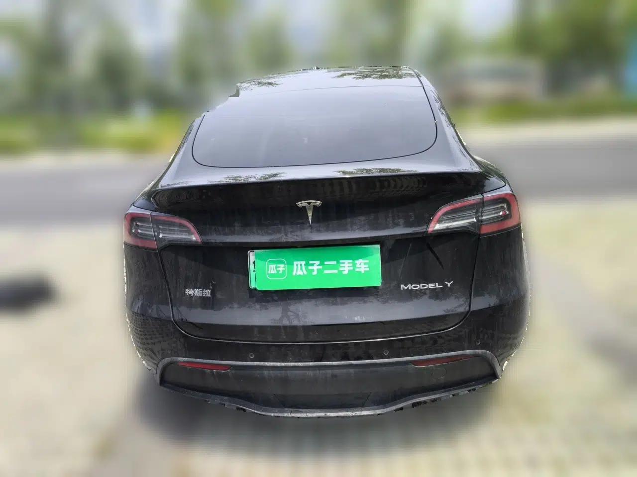 Tesla Model Y 2021 Standard Range Rear-Wheel Drive Version — миниатюра 5