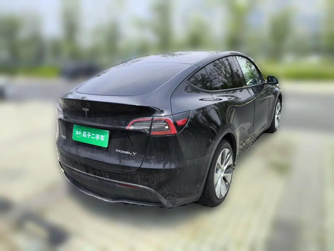 Tesla Model Y 2021 Standard Range Rear-Wheel Drive Version — миниатюра 6