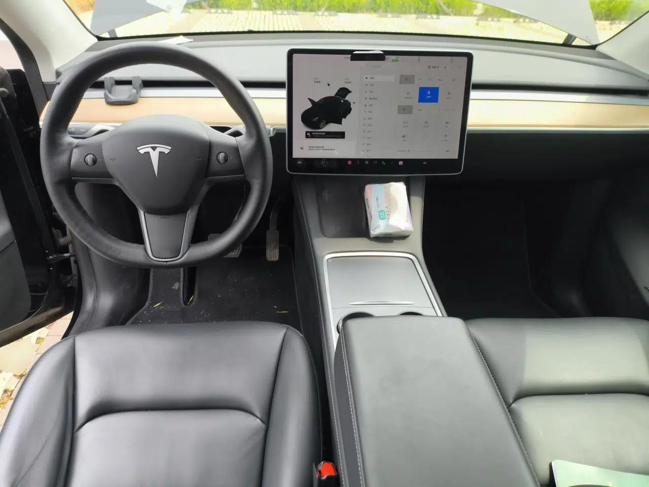 Tesla Model Y 2021 Standard Range Rear-Wheel Drive Version — миниатюра 9