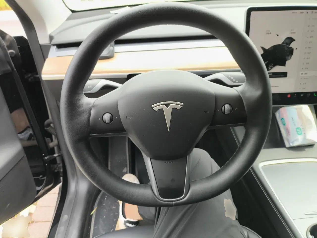 Tesla Model Y 2021 Standard Range Rear-Wheel Drive Version — миниатюра 10