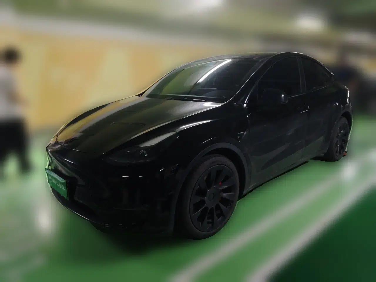 Tesla Model Y 2021 Long-Range All-Wheel-Drive Version 3D7 — миниатюра 1