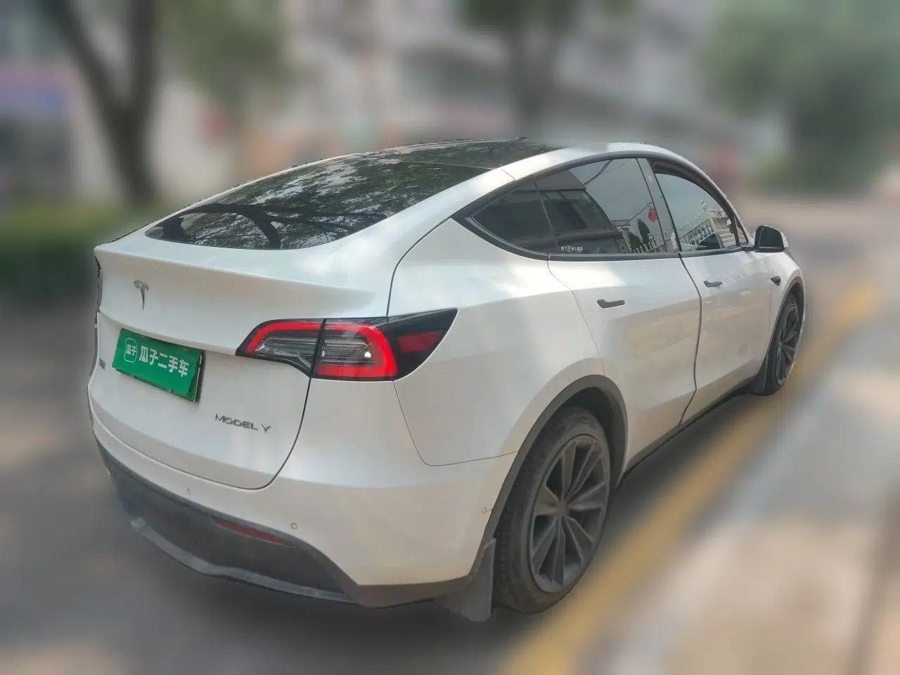 Tesla Model Y 2021 Long-Range All-Wheel-Drive Version — миниатюра 6