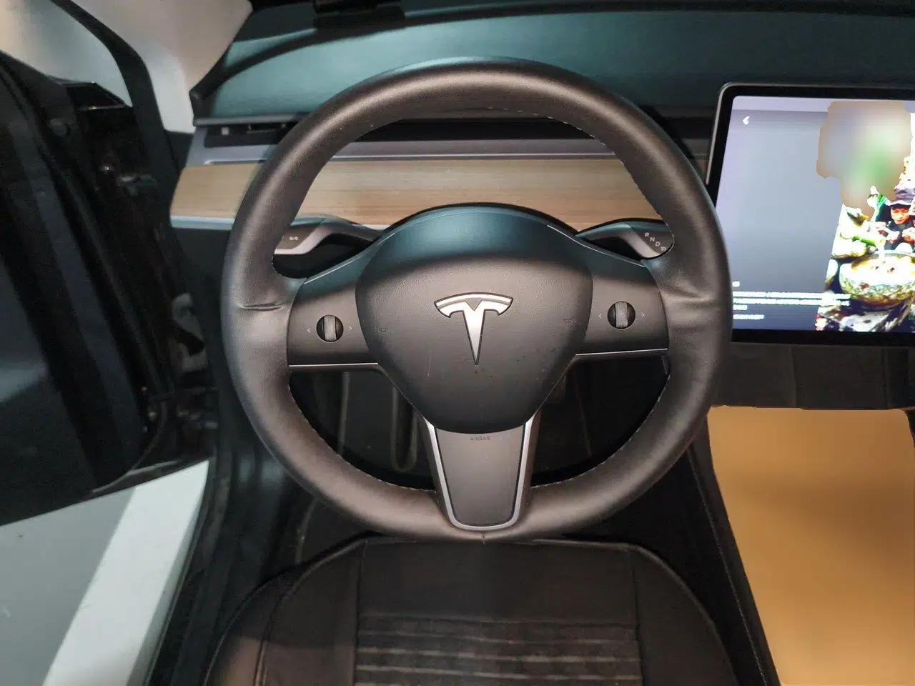 Tesla Model Y 2021 Long-Range All-Wheel-Drive Version 3D7 — миниатюра 10