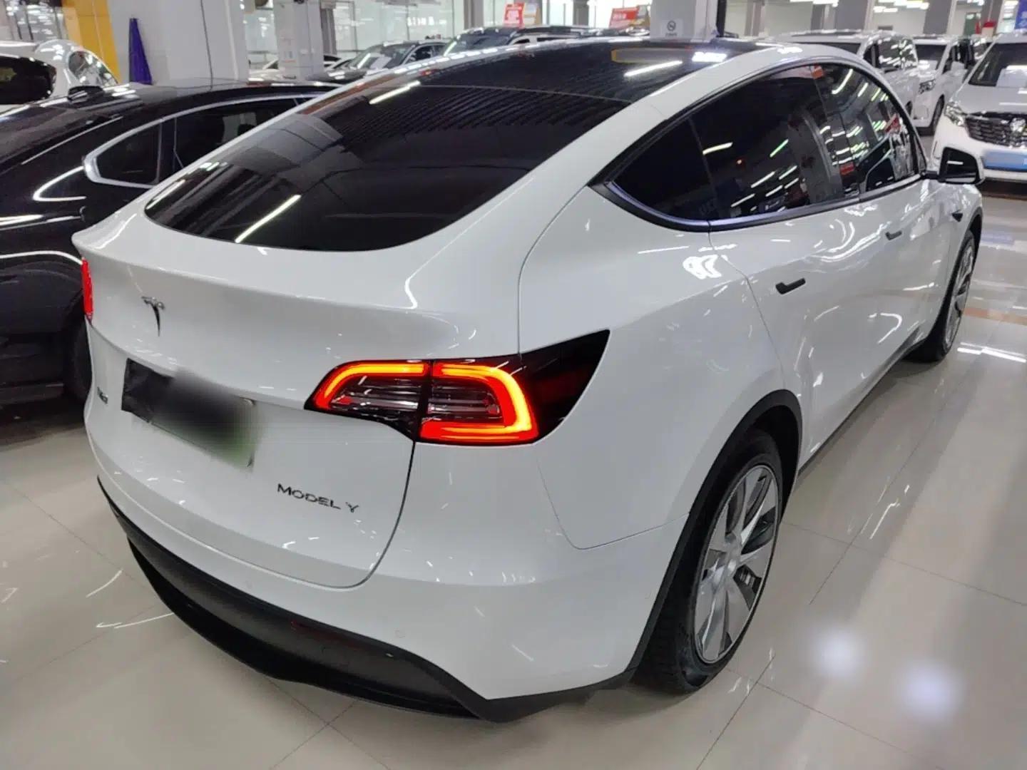 Tesla Model Y 2022 Rear-Wheel-Drive Version — миниатюра 6