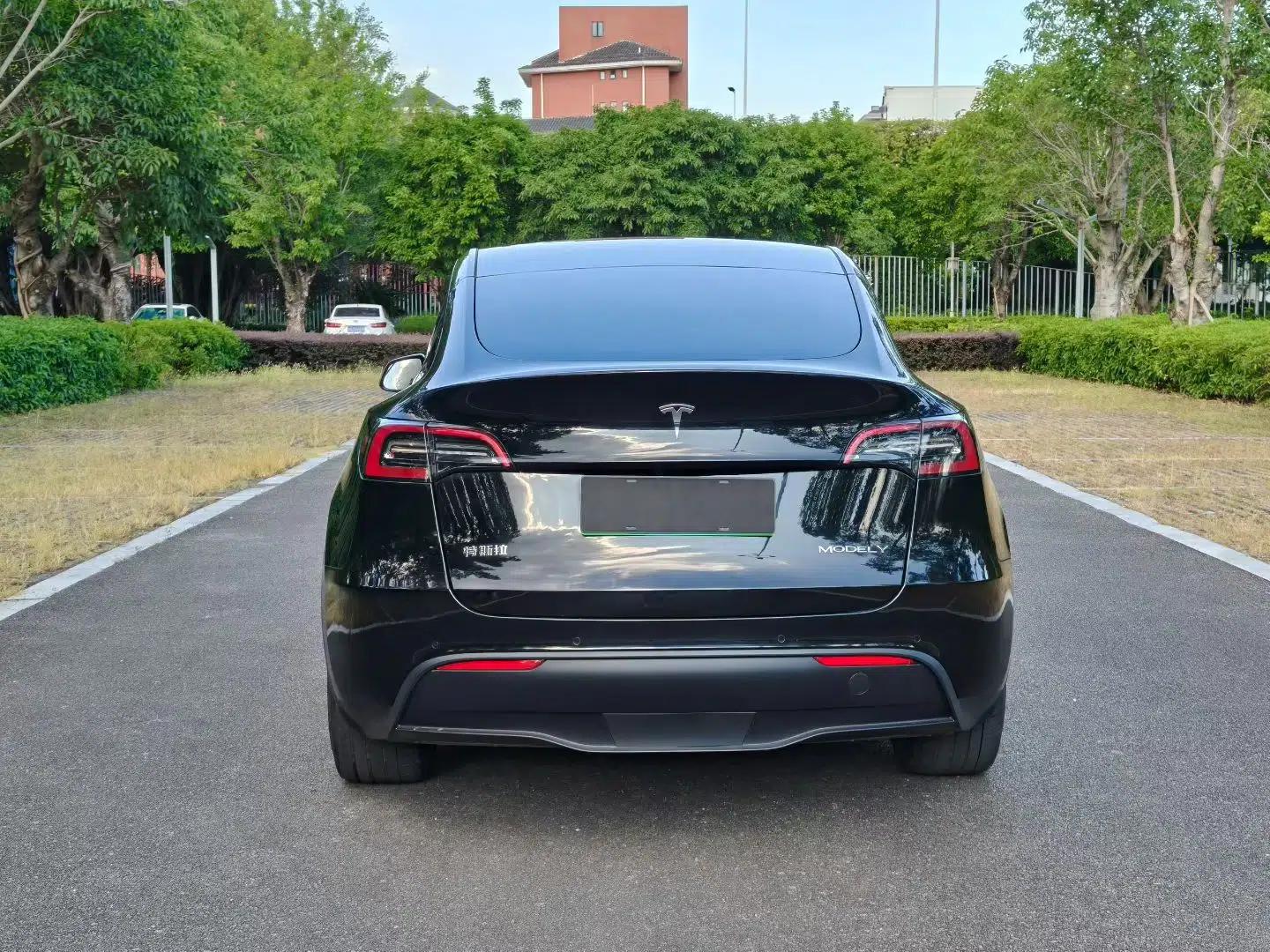 Tesla Model Y 2022 Long-Range All-Wheel-Drive Version — миниатюра 15