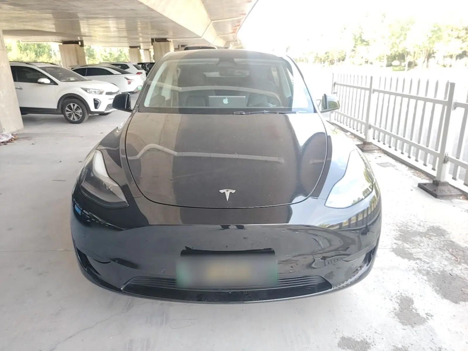 Tesla Model Y 2022 Rear-Wheel-Drive Version — миниатюра 2