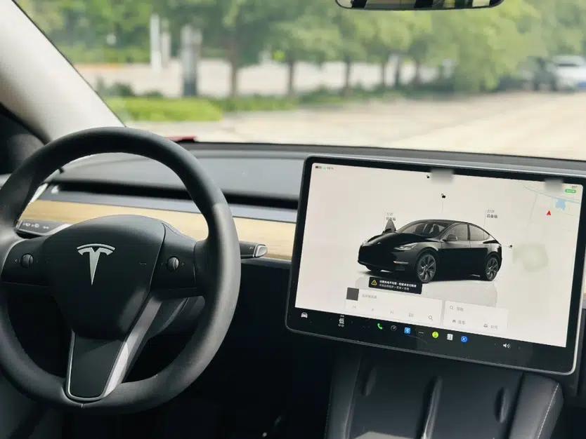 Tesla Model Y 2022 Rear-Wheel-Drive Version — миниатюра 2