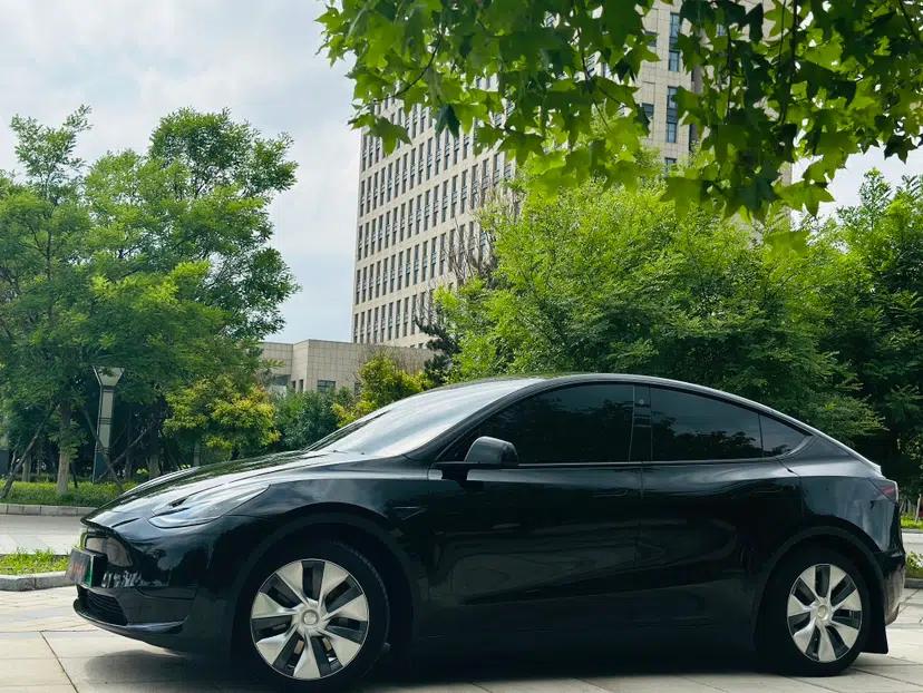 Tesla Model Y 2022 Rear-Wheel-Drive Version — миниатюра 3