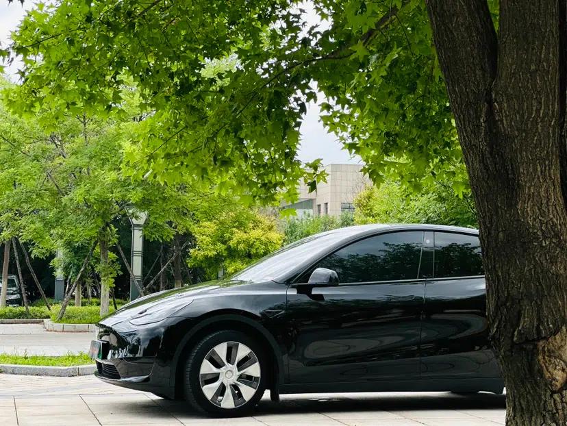 Tesla Model Y 2022 Rear-Wheel-Drive Version — миниатюра 4