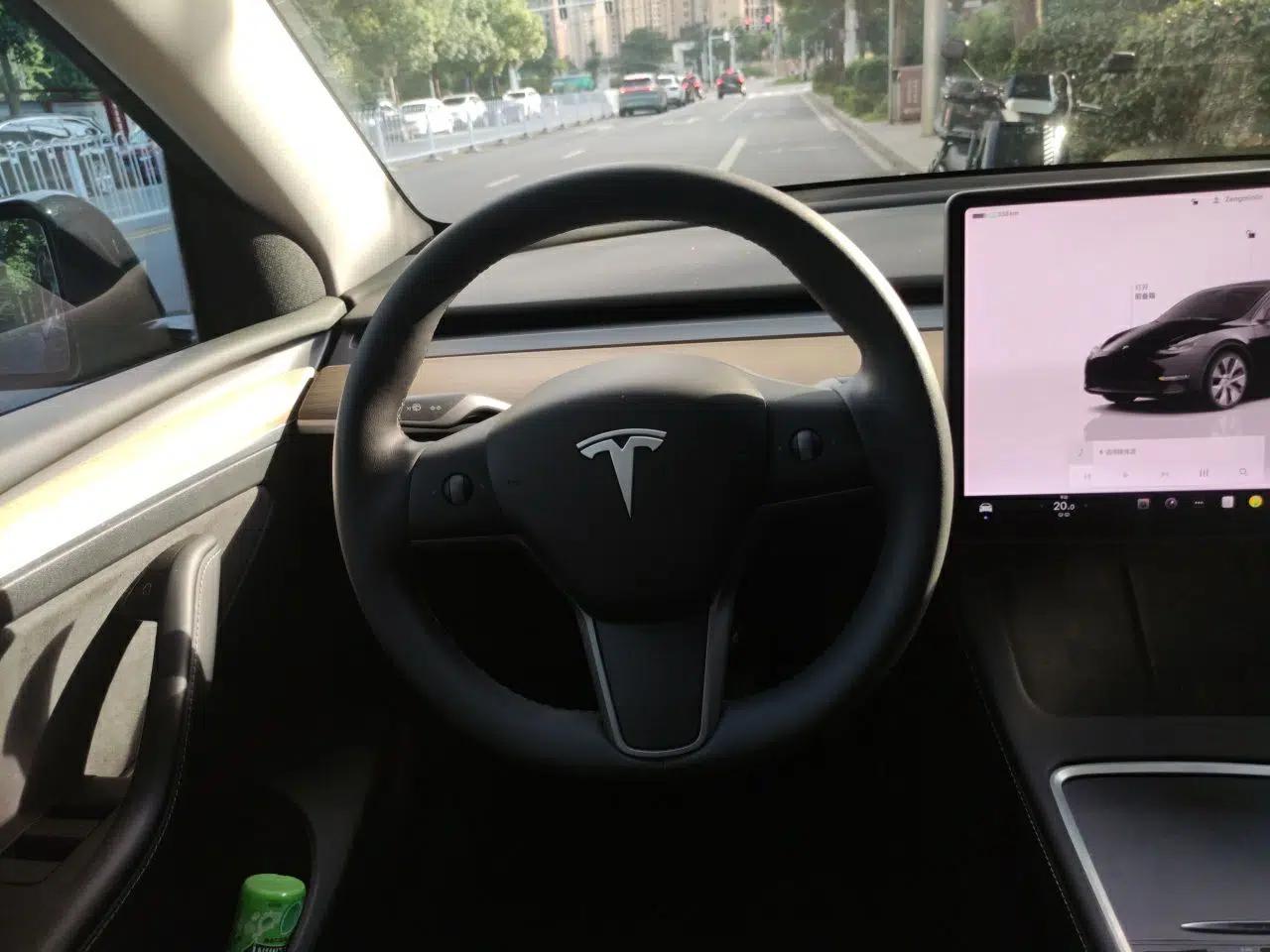 Tesla Model Y 2022 Rear-Wheel-Drive Version — миниатюра 10