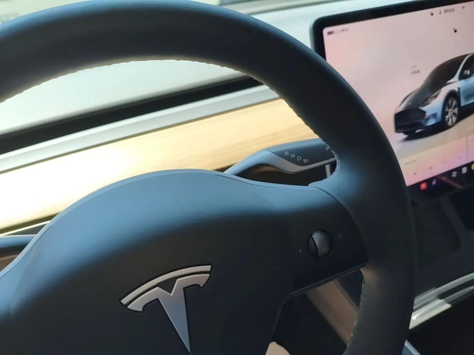 Tesla Model Y 2022 Revised Version Rear-Wheel Drive — миниатюра 16