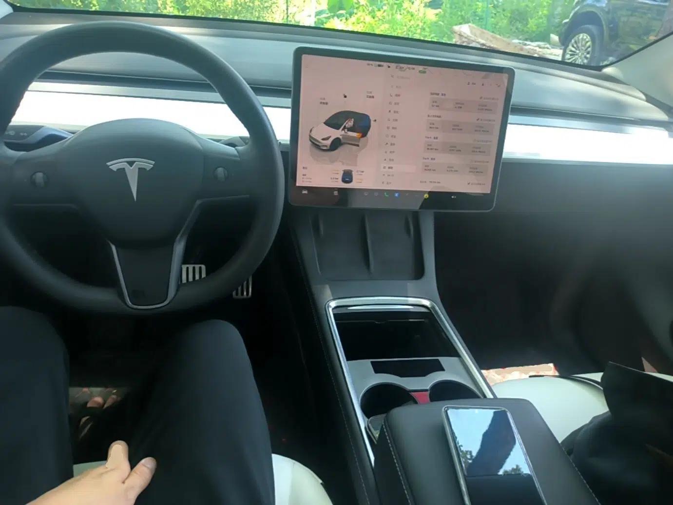 Tesla Model Y 2021 Performance High-Performance All-Wheel-Drive Version — миниатюра 12