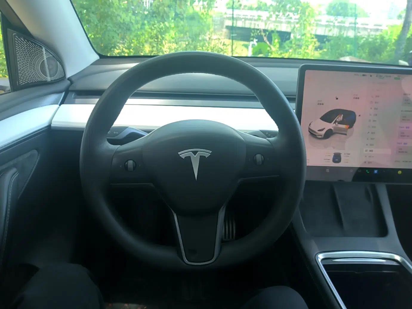 Tesla Model Y 2021 Performance High-Performance All-Wheel-Drive Version — миниатюра 13