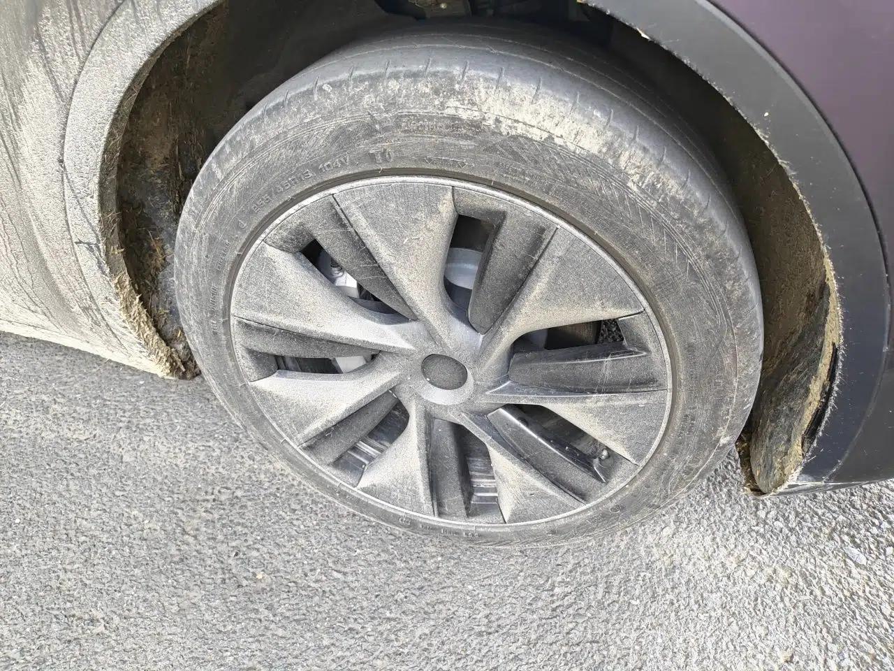 Tesla Model Y 2023 Rear-Wheel-Drive Version — миниатюра 2