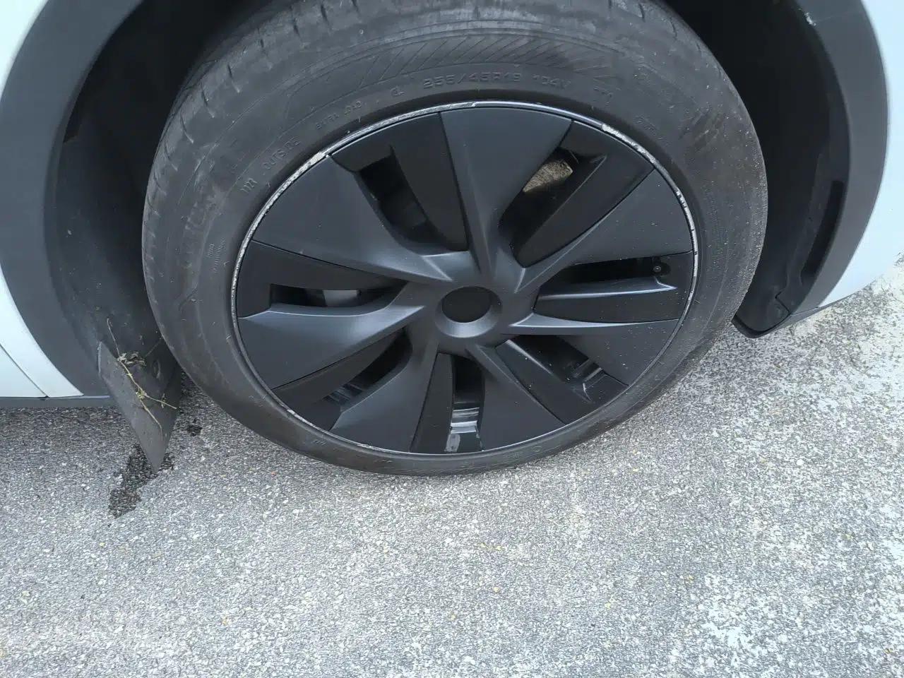 Tesla Model Y 2023 Rear-Wheel-Drive Version — миниатюра 8