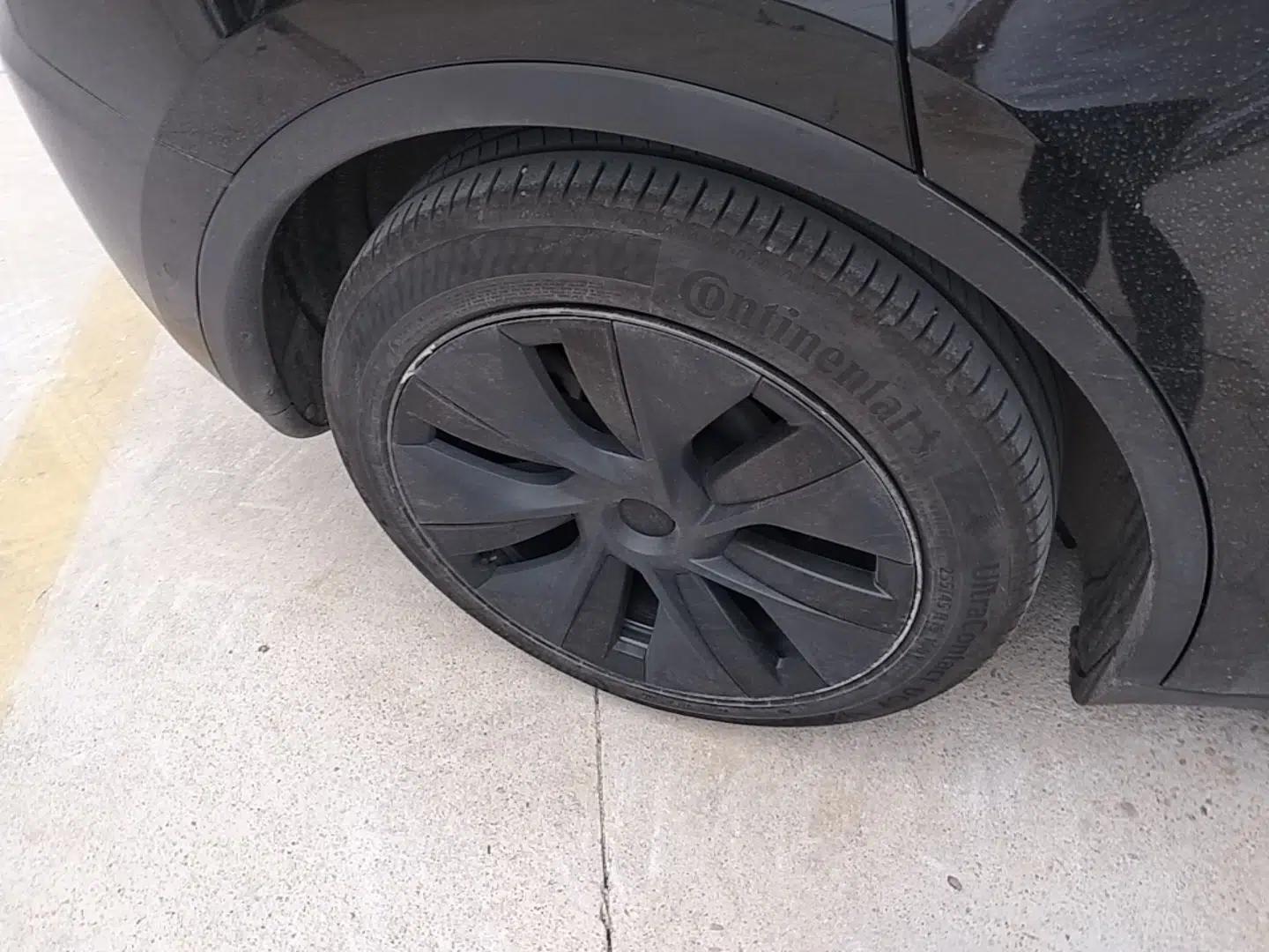 Tesla Model Y 2023 Rear-Wheel-Drive Version — миниатюра 11
