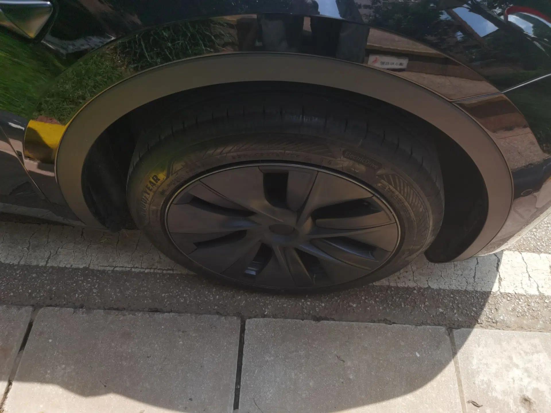 Tesla Model Y 2023 Rear-Wheel-Drive Version — миниатюра 8