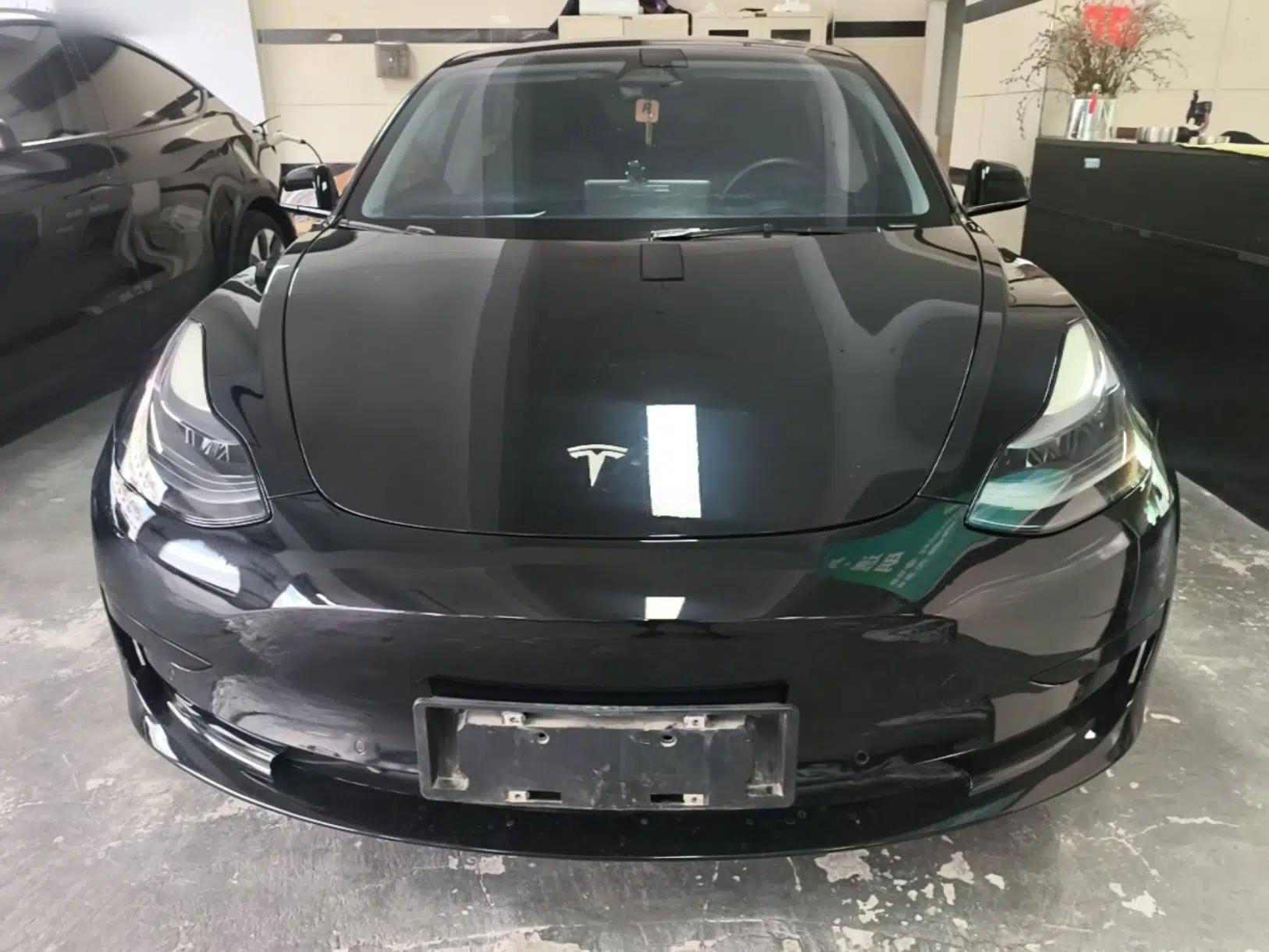 Tesla Model 3 2021 Revised Version Standard Range Rear-Wheel Drive Upgraded Edition 3D1 — миниатюра 2