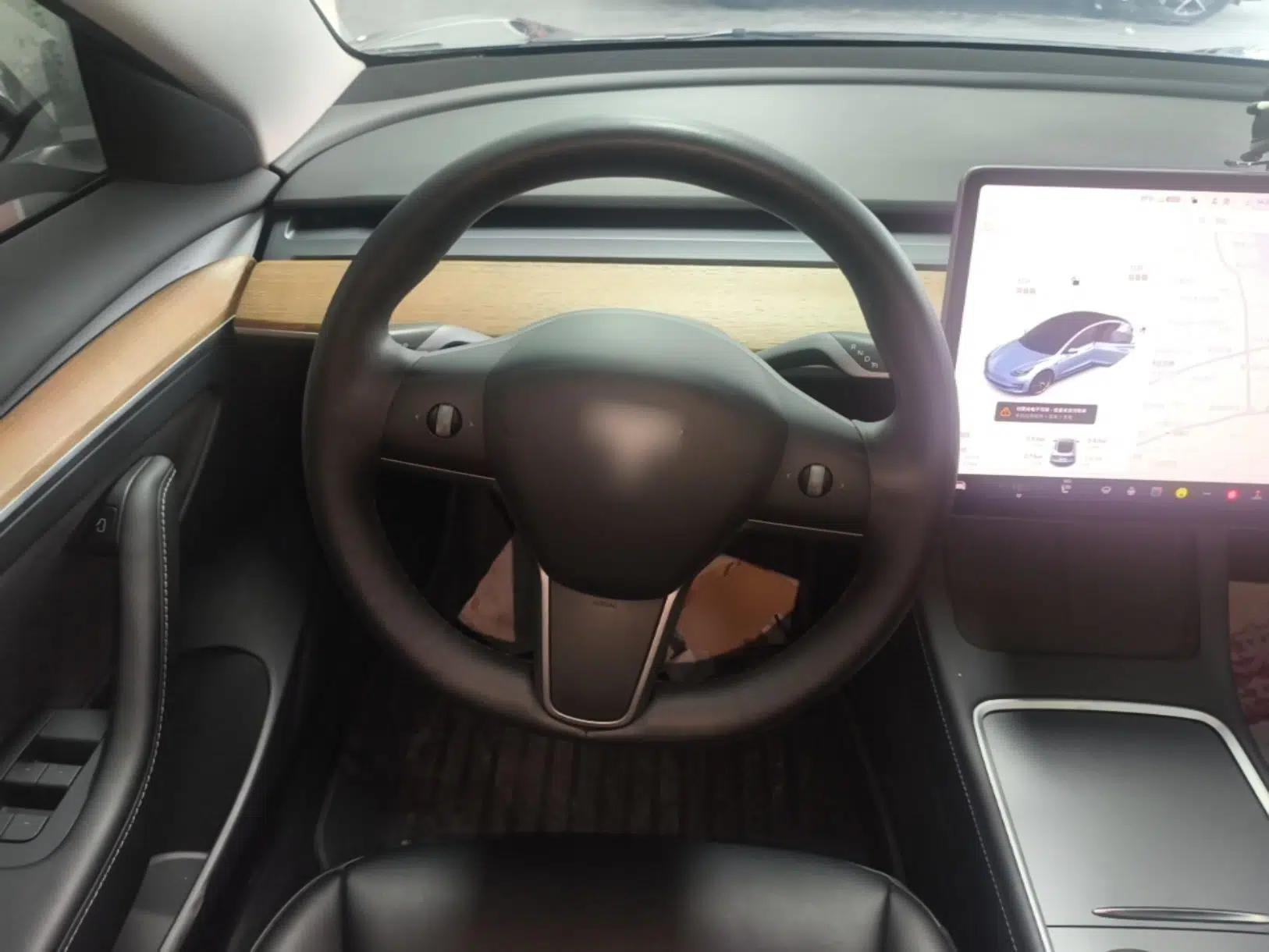 Tesla Model 3 2021 Revised Version Standard Range Rear-Wheel Drive Upgraded Edition 3D1 — миниатюра 13