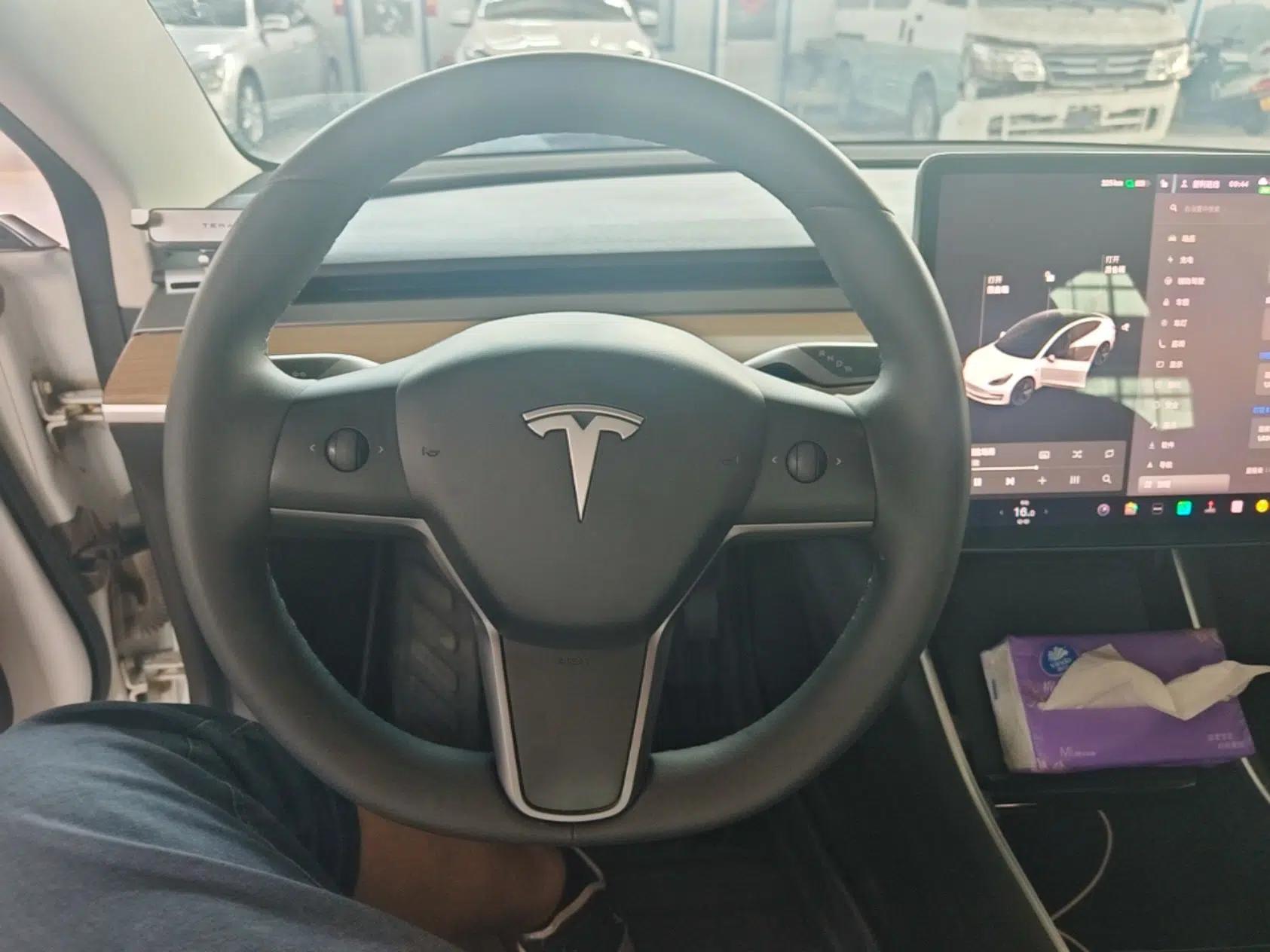 Tesla Model 3 2020 Standard Range Rear-Wheel Drive Upgraded Version — миниатюра 13